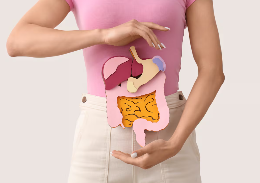 mujer con diagrama de sistema digestivo