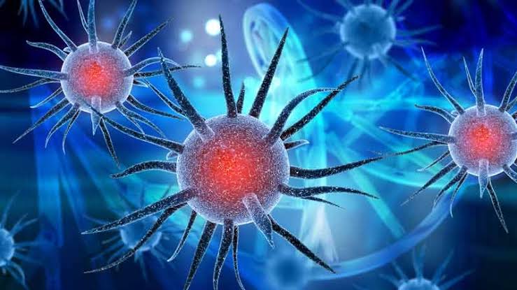 enfermedades infecciosas